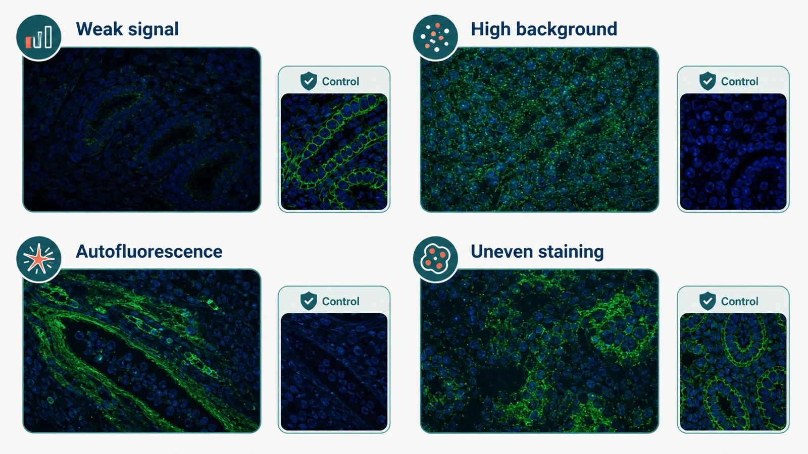 Diagnostic dashboard comparing weak signal, high background, autofluorescence, and uneven staining with relevant control thumbnails.