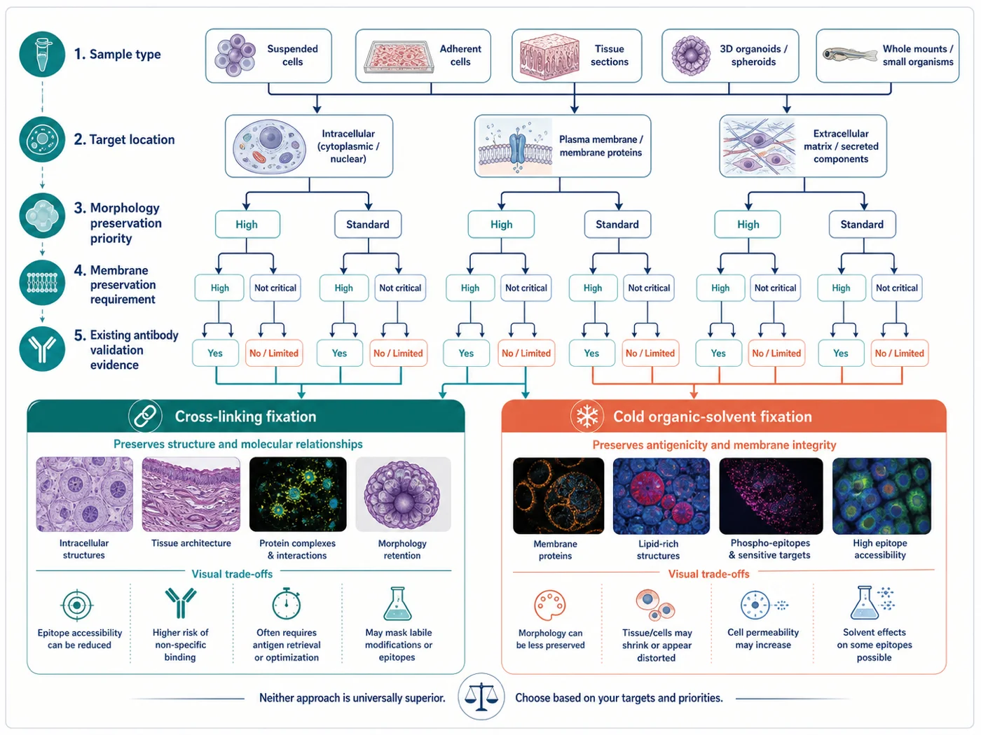 Fixation decision tree organized by sample type, target location, morphology priority, membrane preservation, and antibody validation evidence.